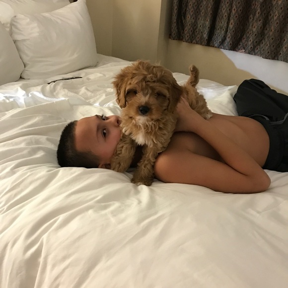 Meet your Posher, Tammy - Picture 6 of 7